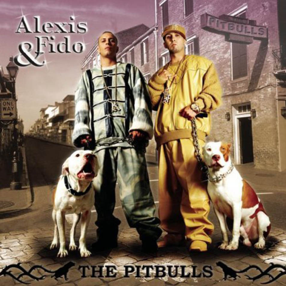 Cover image for The Pitbulls