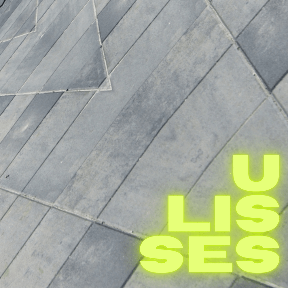 Album cover art for "Ulisses" by Bisz