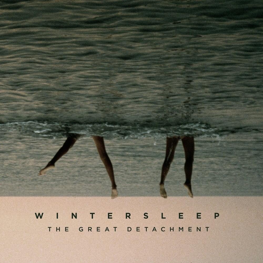 Cover image for The Great Detachment