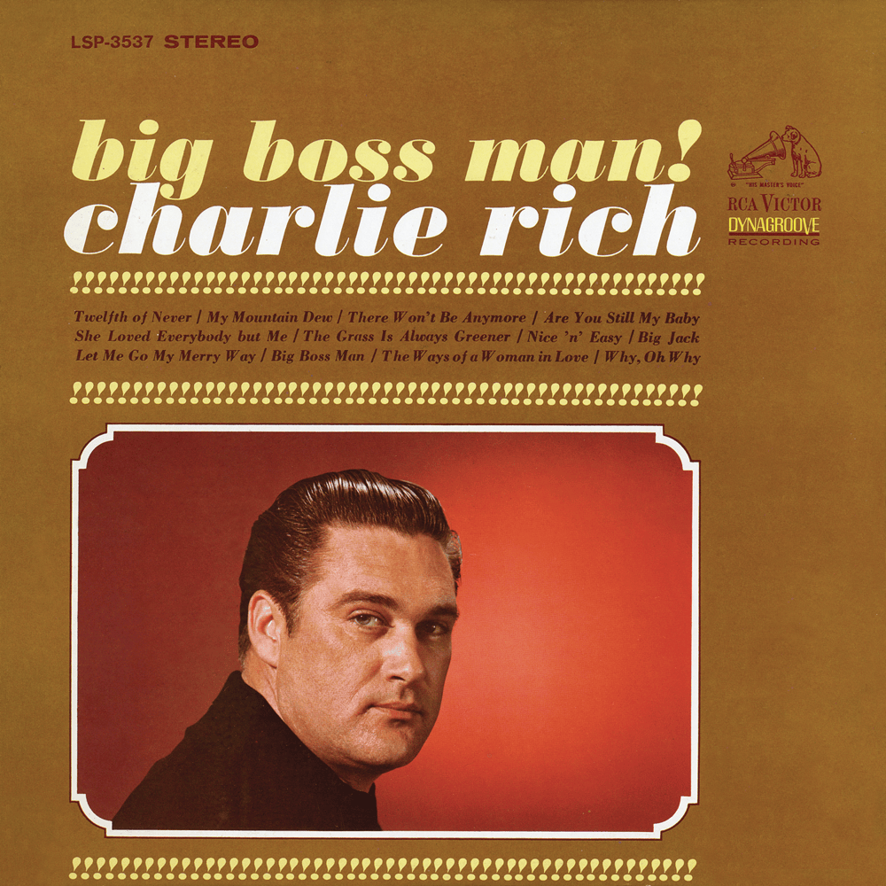 Cover image for Big Boss Man!