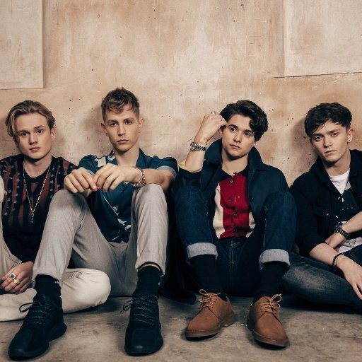 Cover image for The Vamps