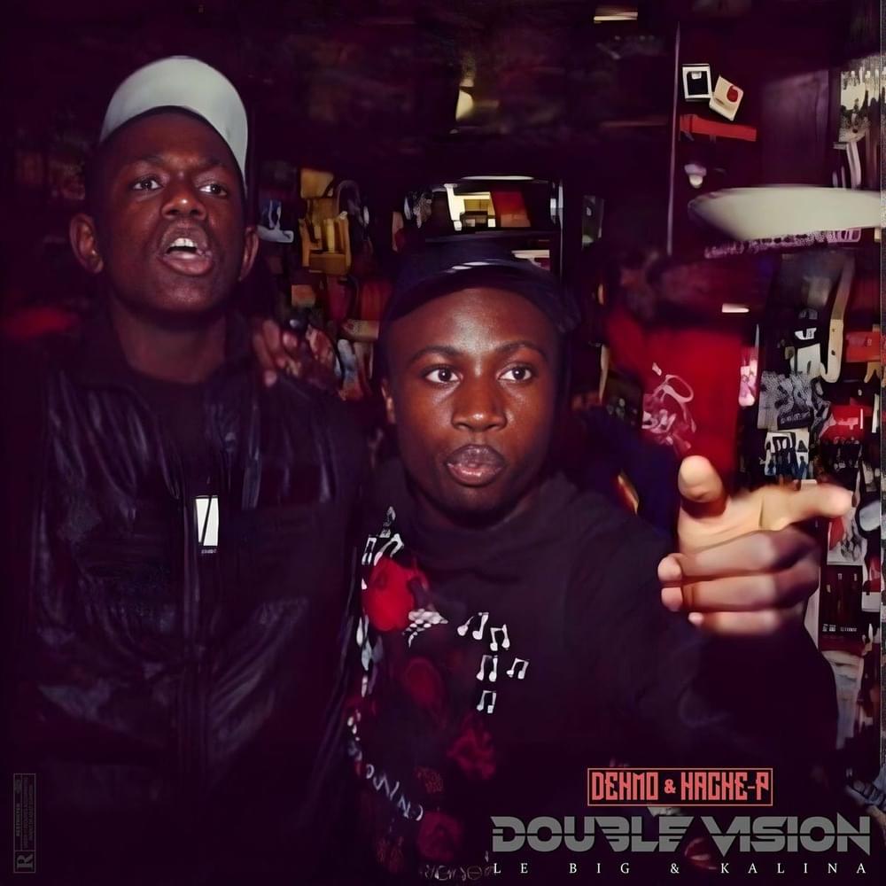 Cover image for DOUBLE VISION