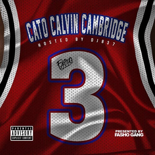 Damn Fool by Highlife Cato