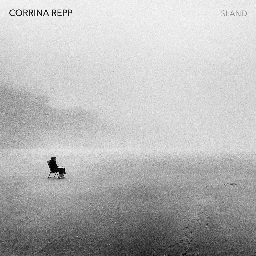 The End of a Gun by Corrina Repp