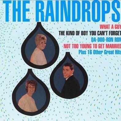 Album cover art for "The Kind Of Boy You Can’t Forget" by The Raindrops