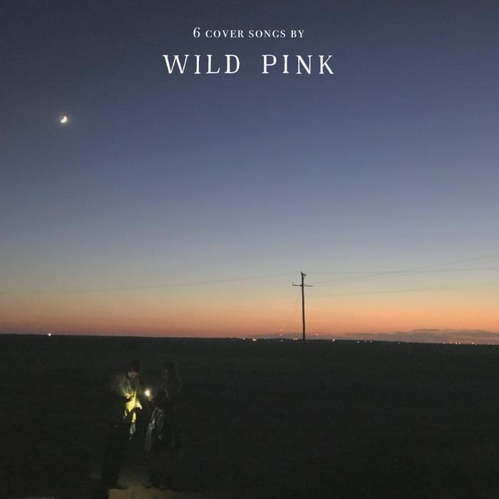 Album cover art for "We Are Never Ever Getting Back Together" by Wild Pink