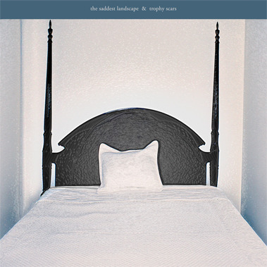 Cover image for The Saddest Landscape & Trophy Scars