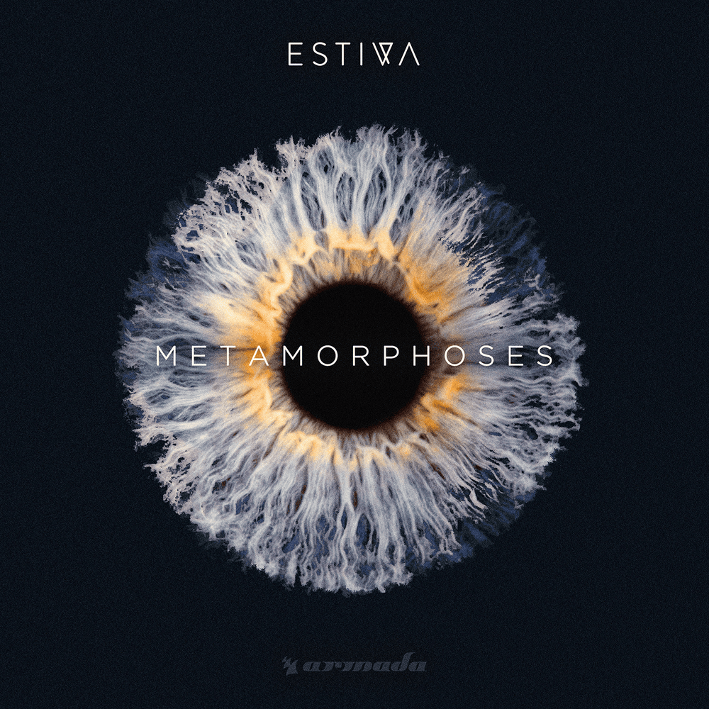 Cover image for Metamorphoses