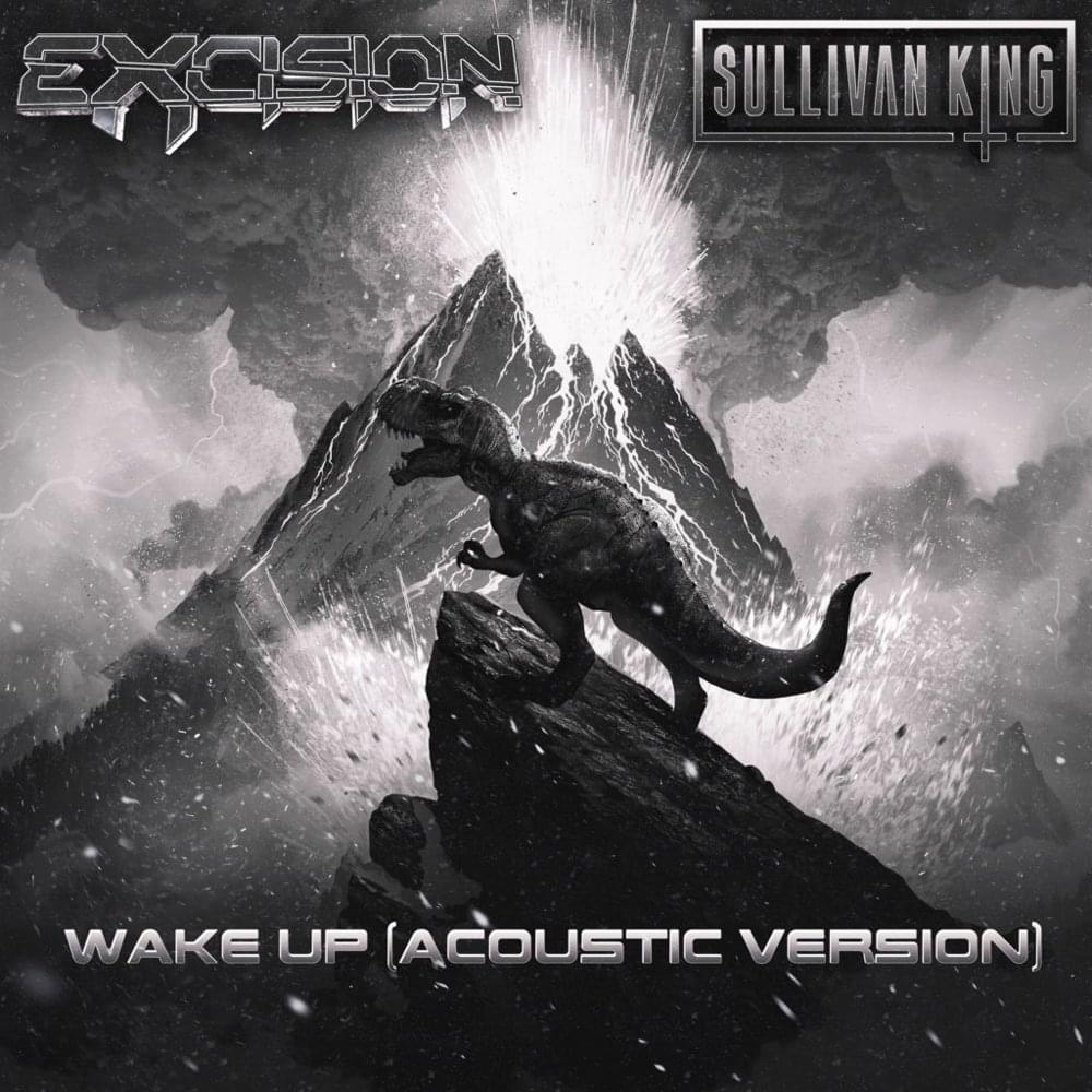 Album cover art for "Wake Up (Acoustic Version)" by Sullivan King