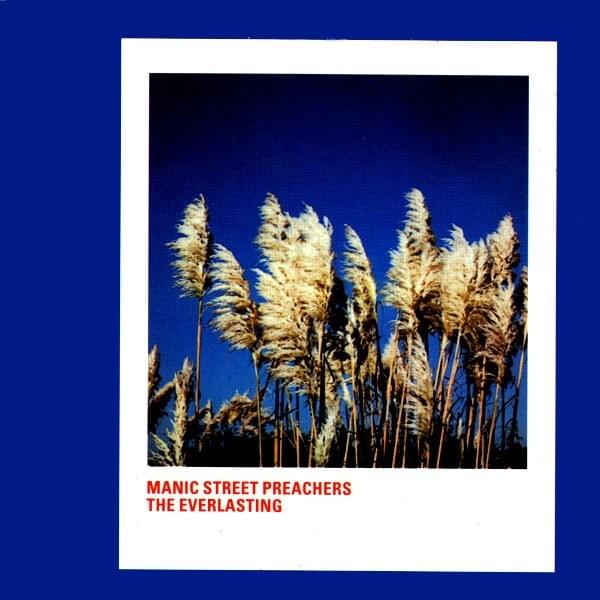 Album cover art for "The Everlasting (Stealth Sonic Orchestra Remix)" by Manic Street Preachers