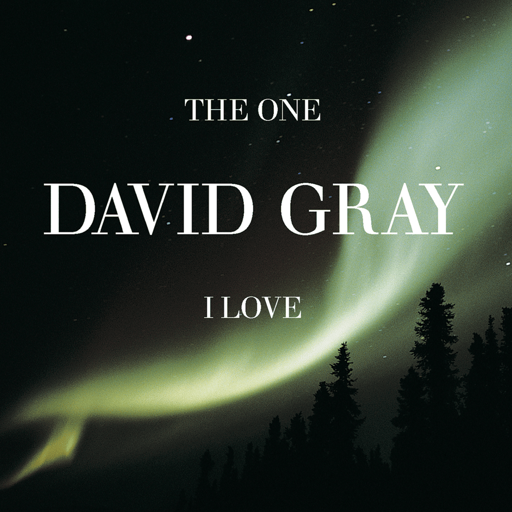 The One I Love by David Gray