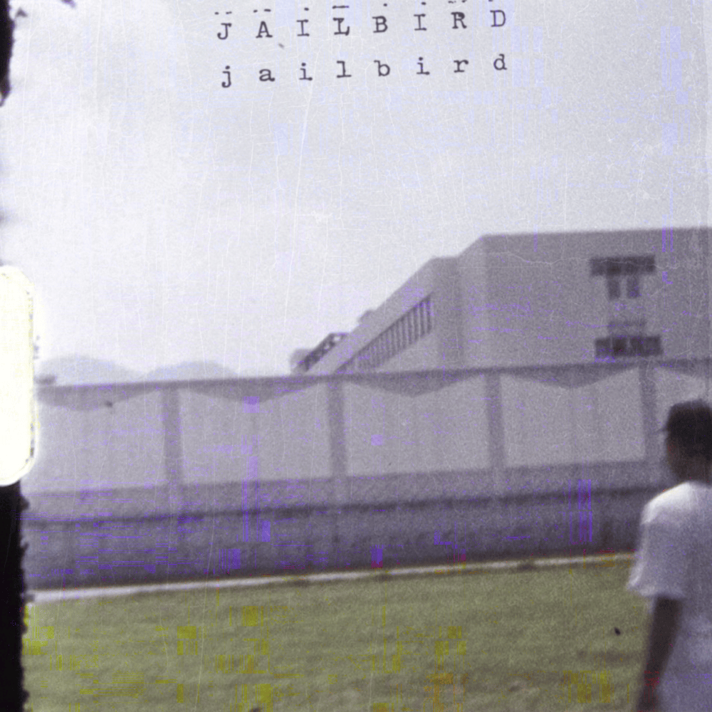 Jailbird by JNKMN