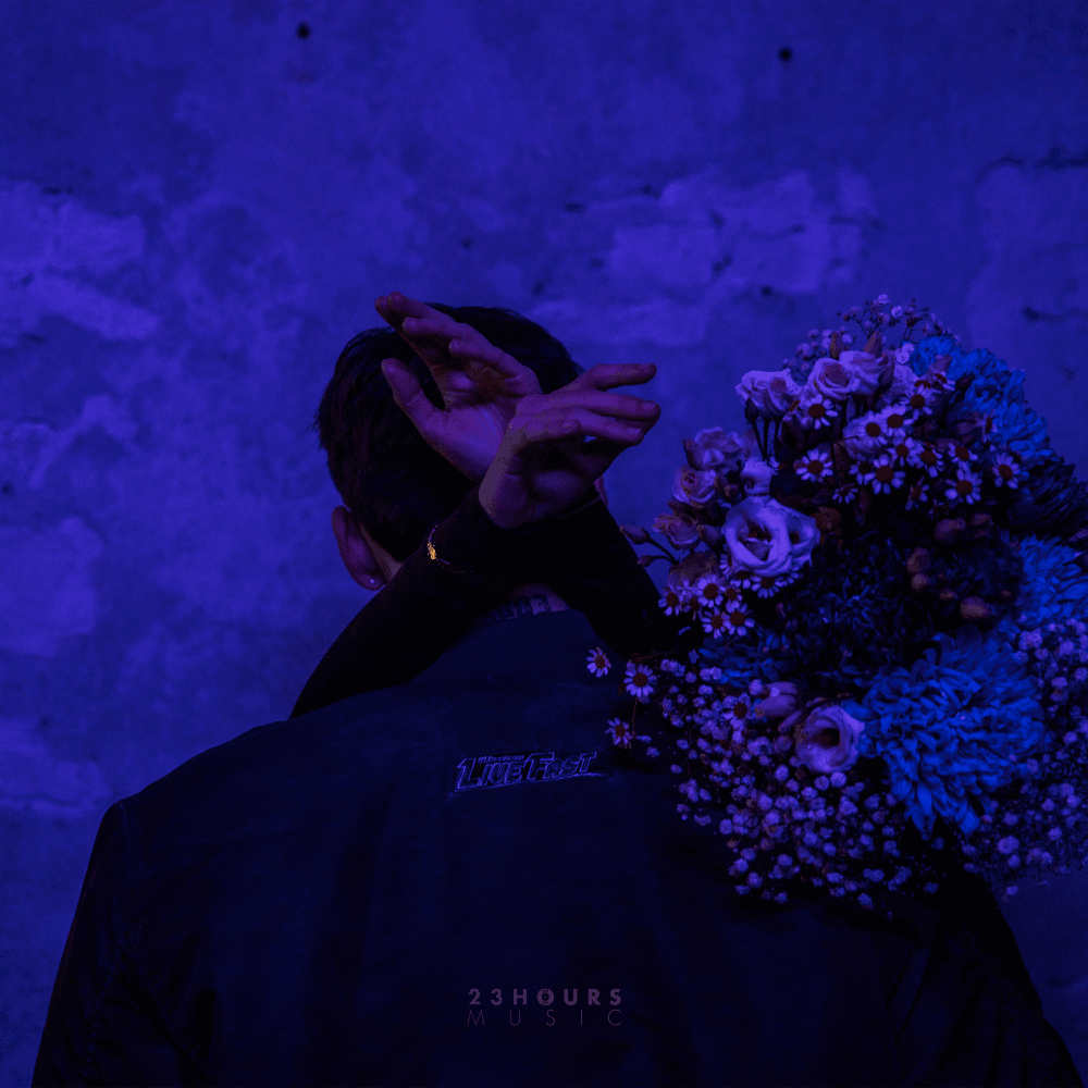 Album cover art for "Meine Schuld" by Liaze