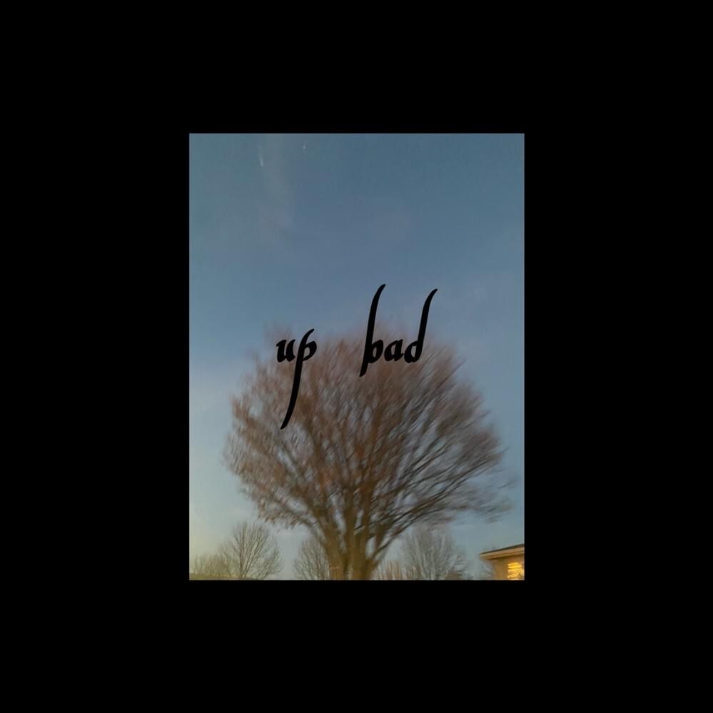 Cover image for up bad