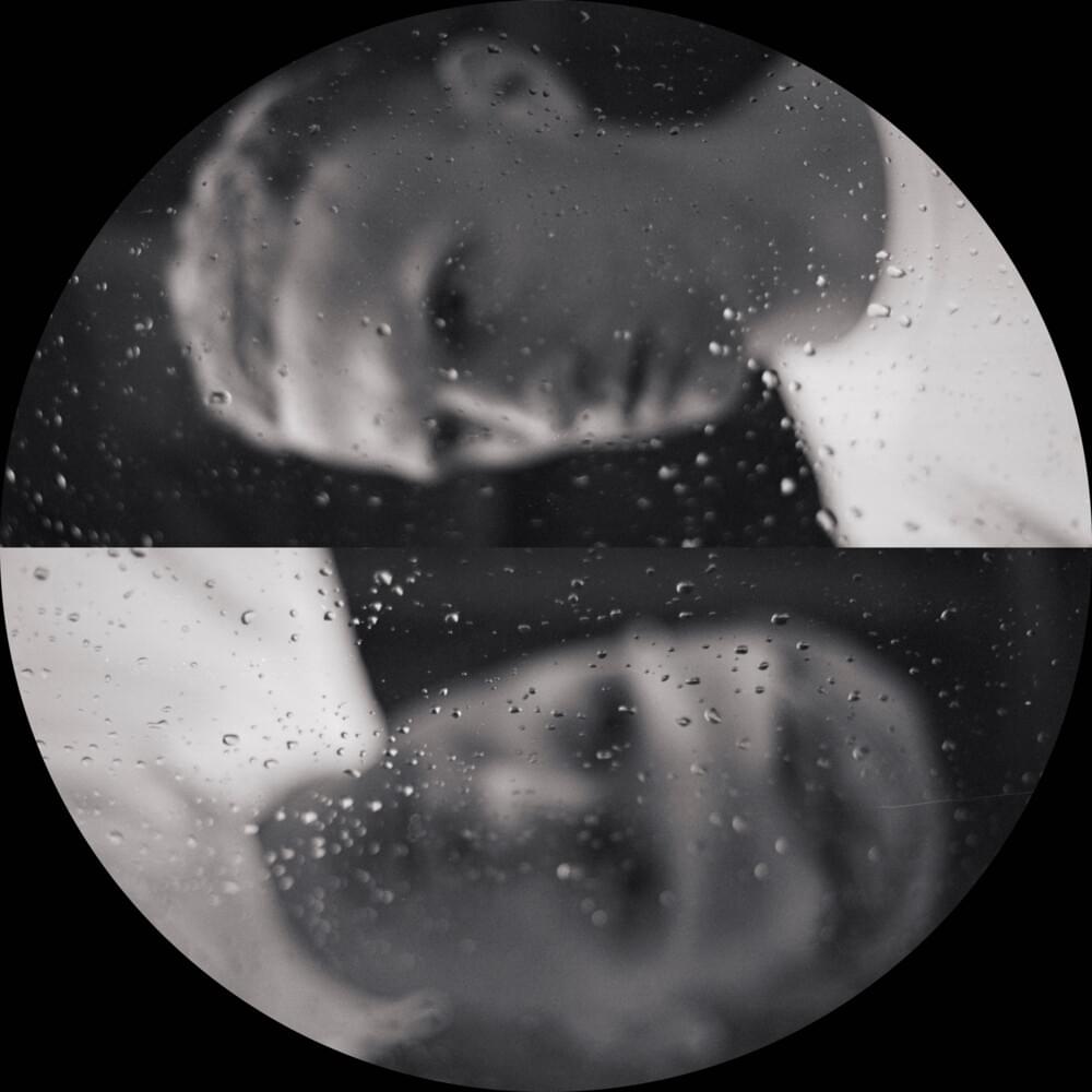 Real Lies Profile Picture Photo of Real Lies