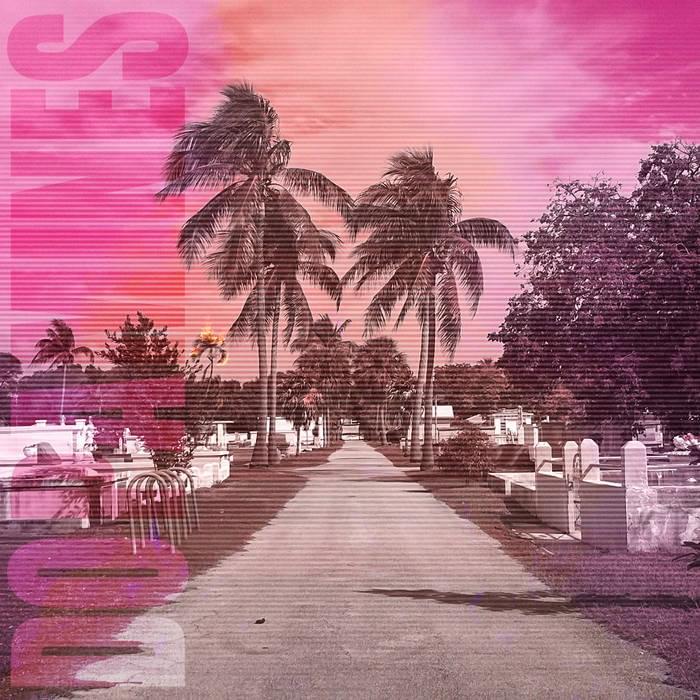 80/20 by The Dopamines