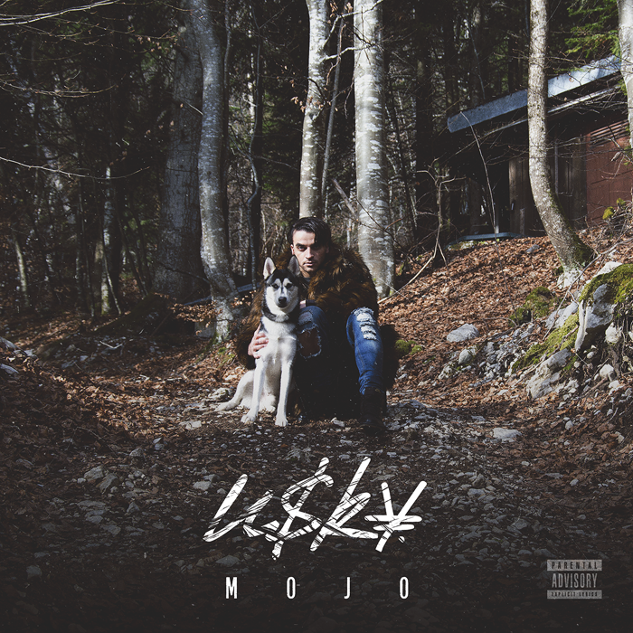 Album cover art for "Mojo" by USKY
