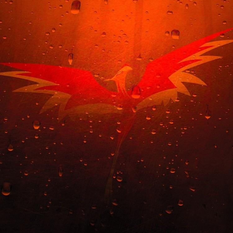 Cover image for Steadfast