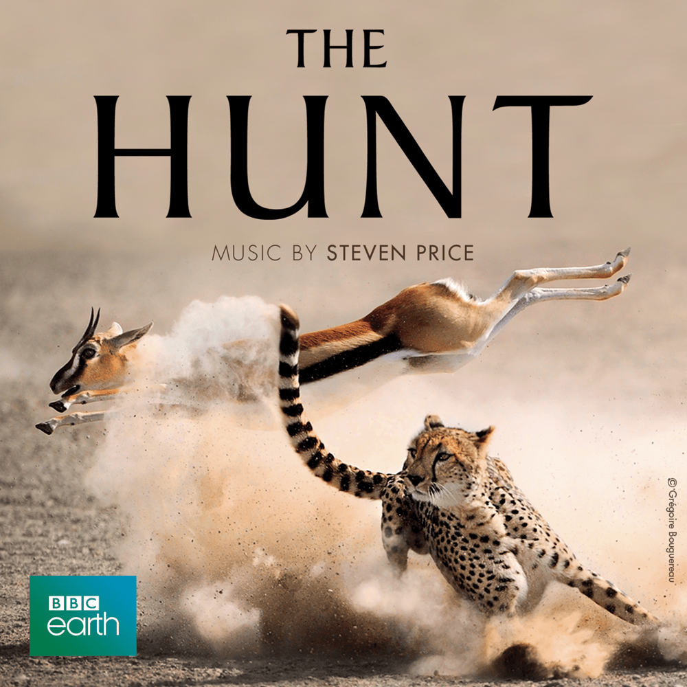 Cover image for The Hunt