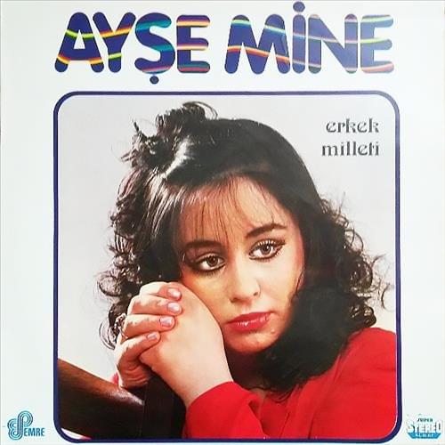 Cover image for Erkek Milleti 