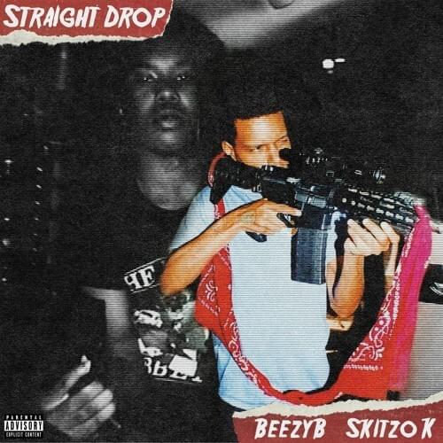 Cover image for Straight Drop