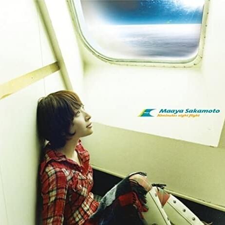 Cover image for 30minutes night flight