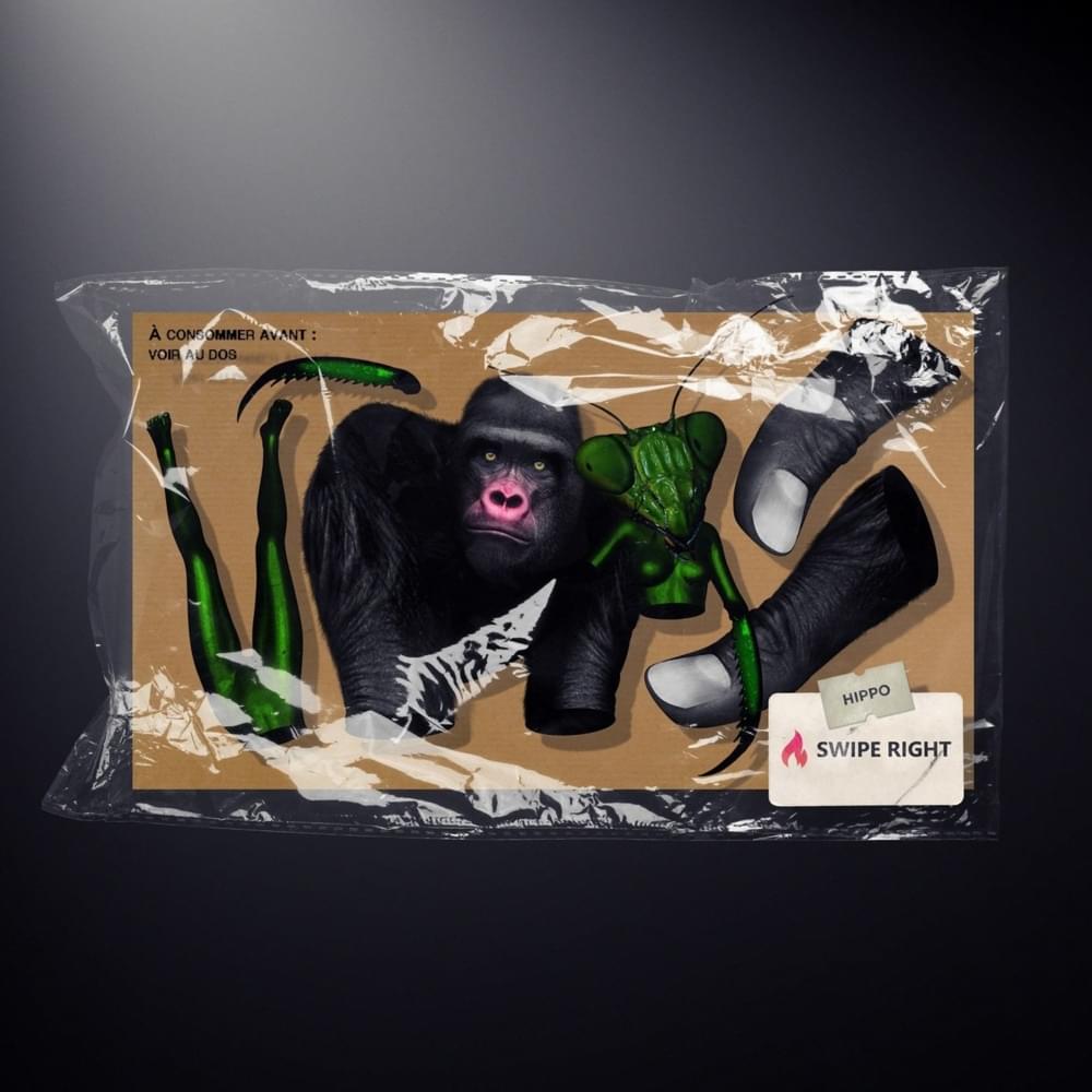 Album cover art for "Swipe Right" by Hippocampe Fou