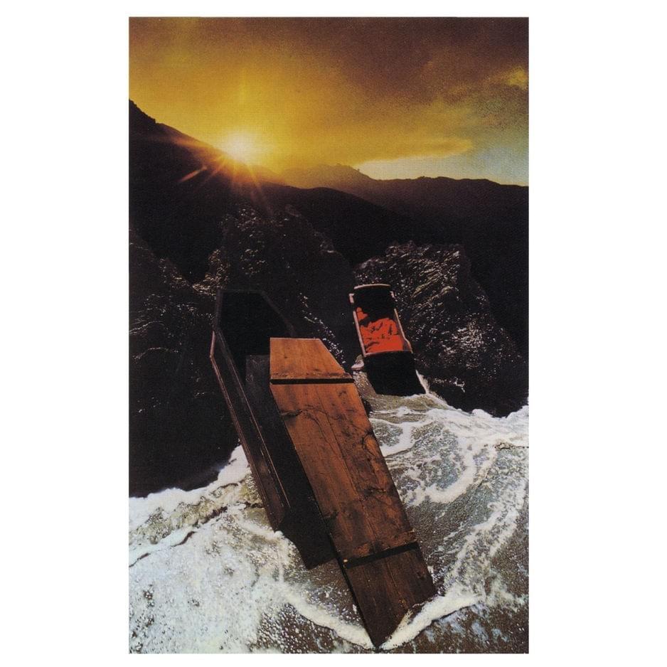 Cover image for Metamorphosis