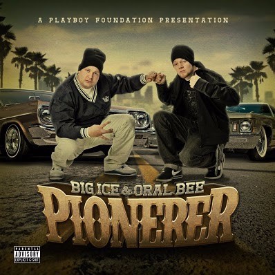 Cover image for Pionerer