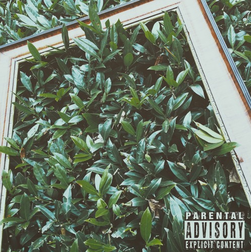 Album cover art for "Green Figures" by Serious Klein