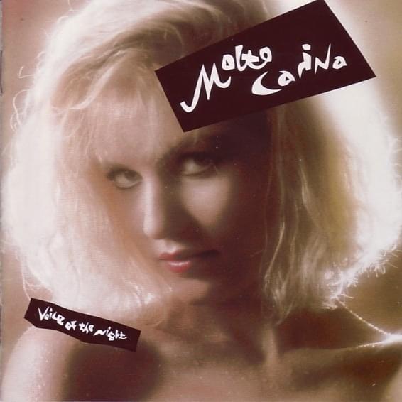 Cover image for Voice of the Night