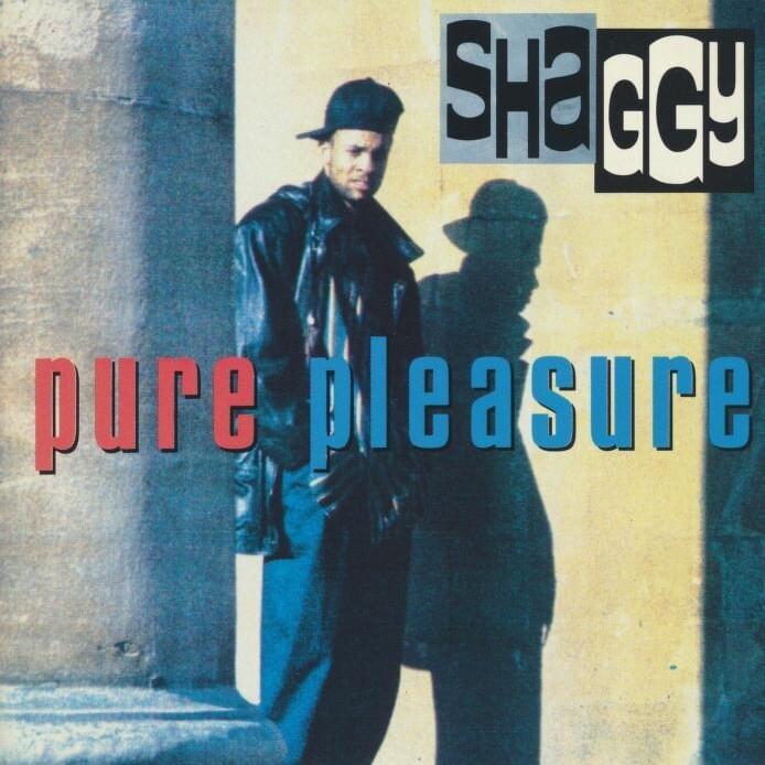 Cover image for Pure Pleasure