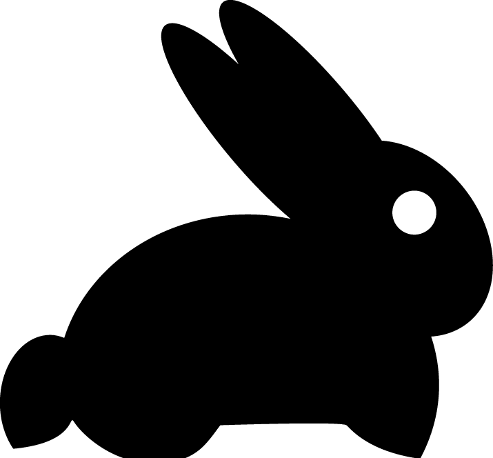 Cover image for Rabbit the band