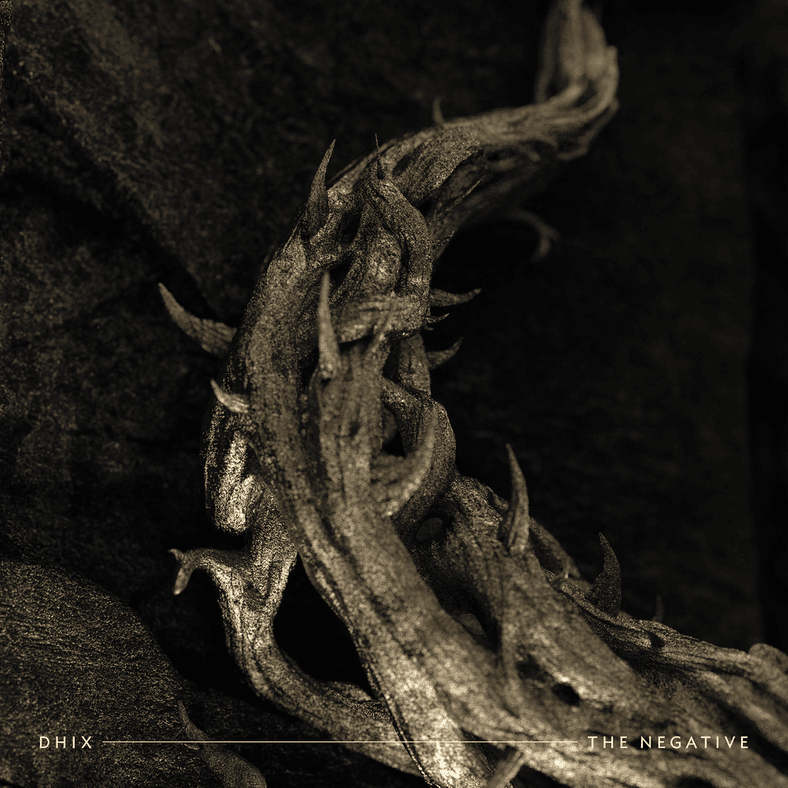 Album cover art for "The Negative" by Demon Hunter