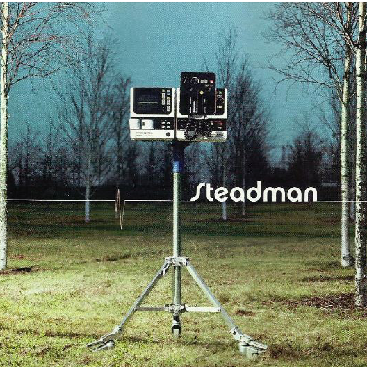 Album cover art for "Wave Goodbye" by Steadman