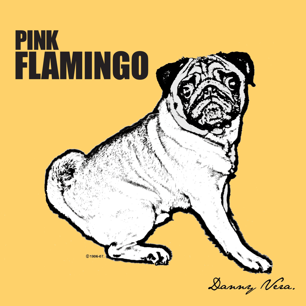 Cover image for Pink Flamingo