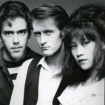Cover image for The Alley Cats (Punk Rock)