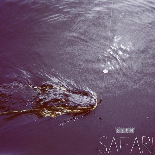 Cover image for SAFARI