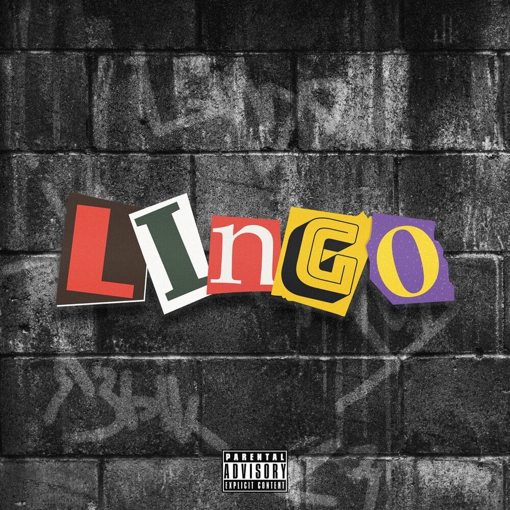 LINGO by SUPREMUS