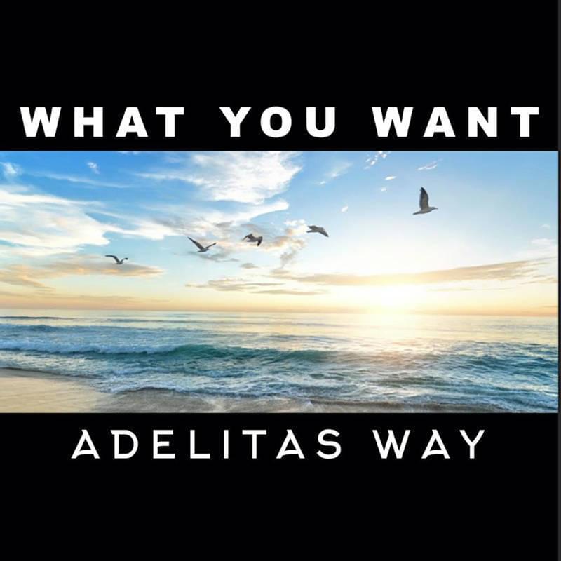 Album cover art for "What You Want" by Adelitas Way