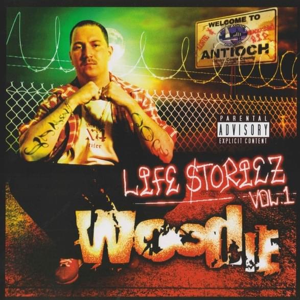 The Way You Feel by Woodie