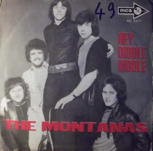 Hey Diddle Diddle by The Montanas