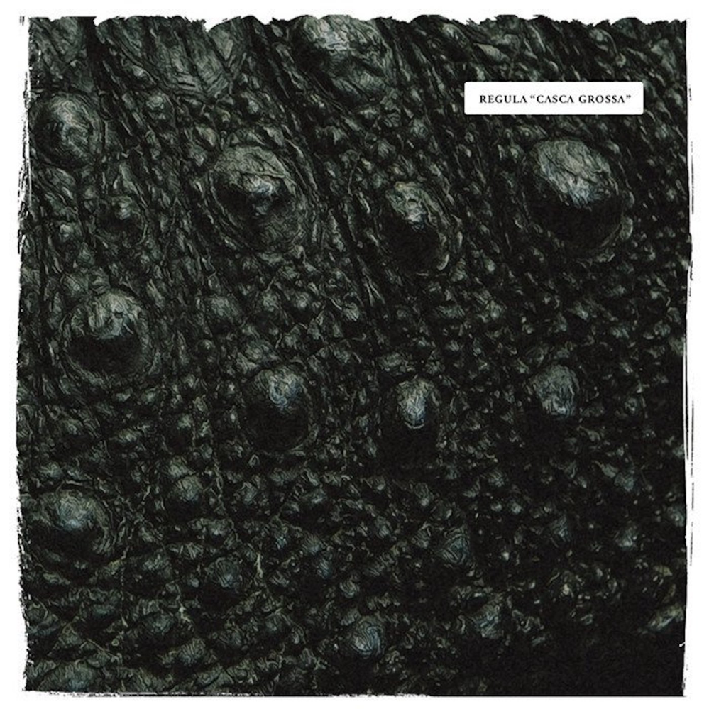 Cover image for Casca Grossa