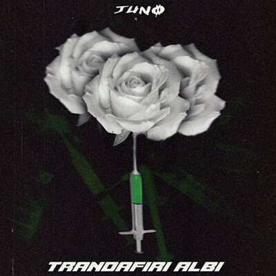 Trandafiri albi by Juno (ROU)