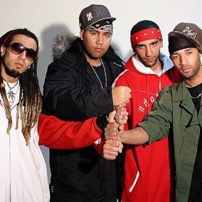 Cover image for Casa Crew