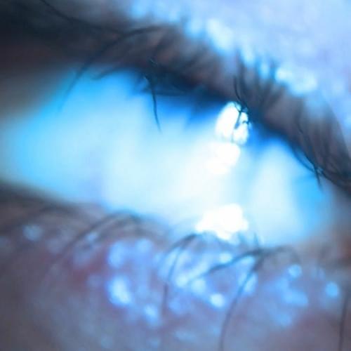 Album cover art for "Front Load" by Arca
