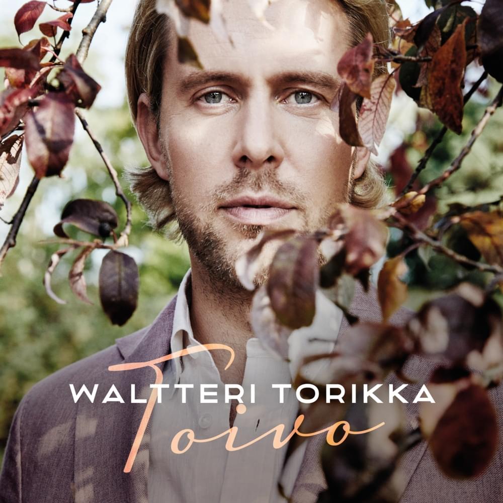 Cover image for Toivo