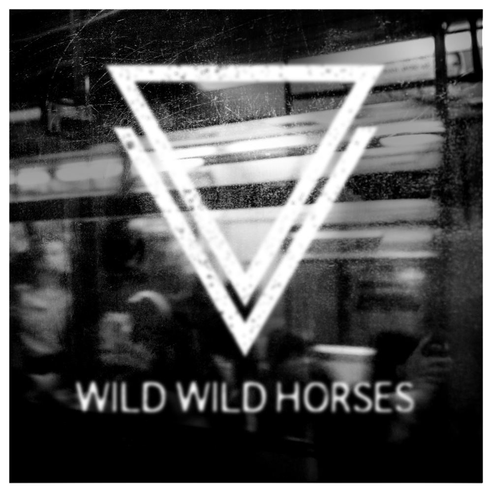 Demon Days (Do It All Again) by Wild Wild Horses