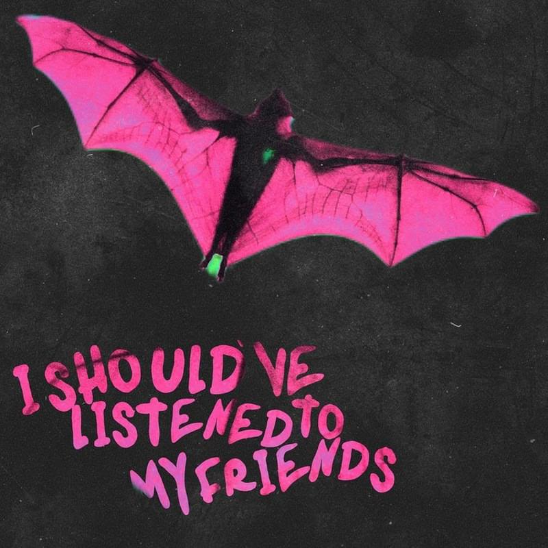 Album cover art for "I Should’ve Listened to My Friends" by Magnolia Park