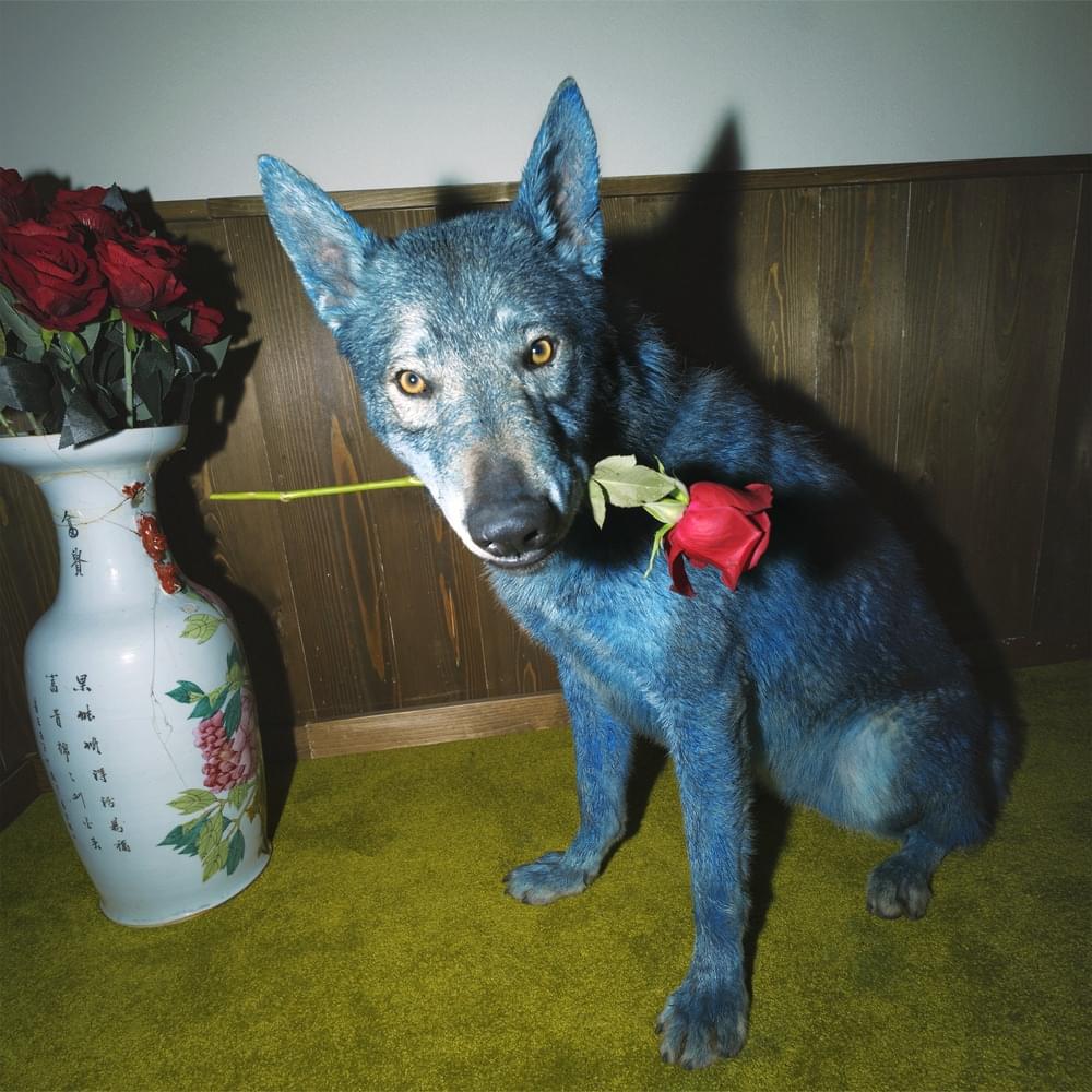 Album cover art for "L’Isola Delle Rose" by BLANCO